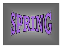 Spring Icon 